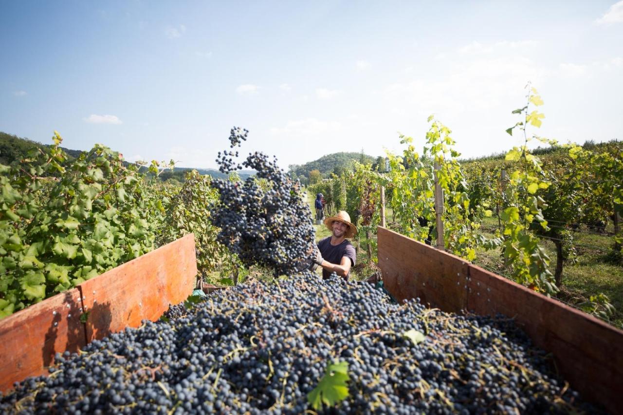 Il Roncal Wine Resort - For Wine Lovers Чивідале-дель-Фріулі Екстер'єр фото