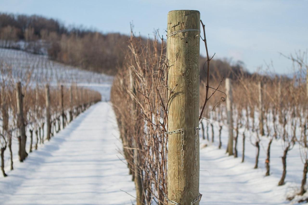 Il Roncal Wine Resort - For Wine Lovers Чивідале-дель-Фріулі Екстер'єр фото