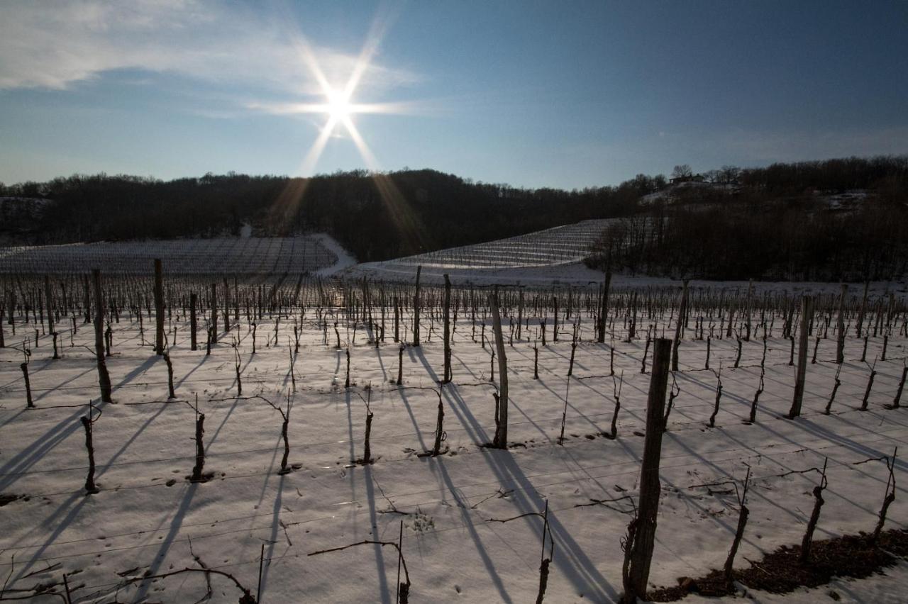 Il Roncal Wine Resort - For Wine Lovers Чивідале-дель-Фріулі Екстер'єр фото