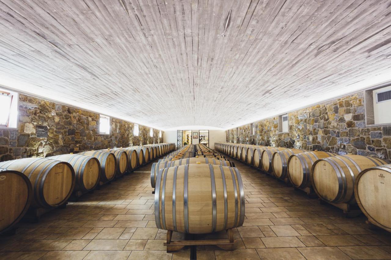 Il Roncal Wine Resort - For Wine Lovers Чивідале-дель-Фріулі Екстер'єр фото