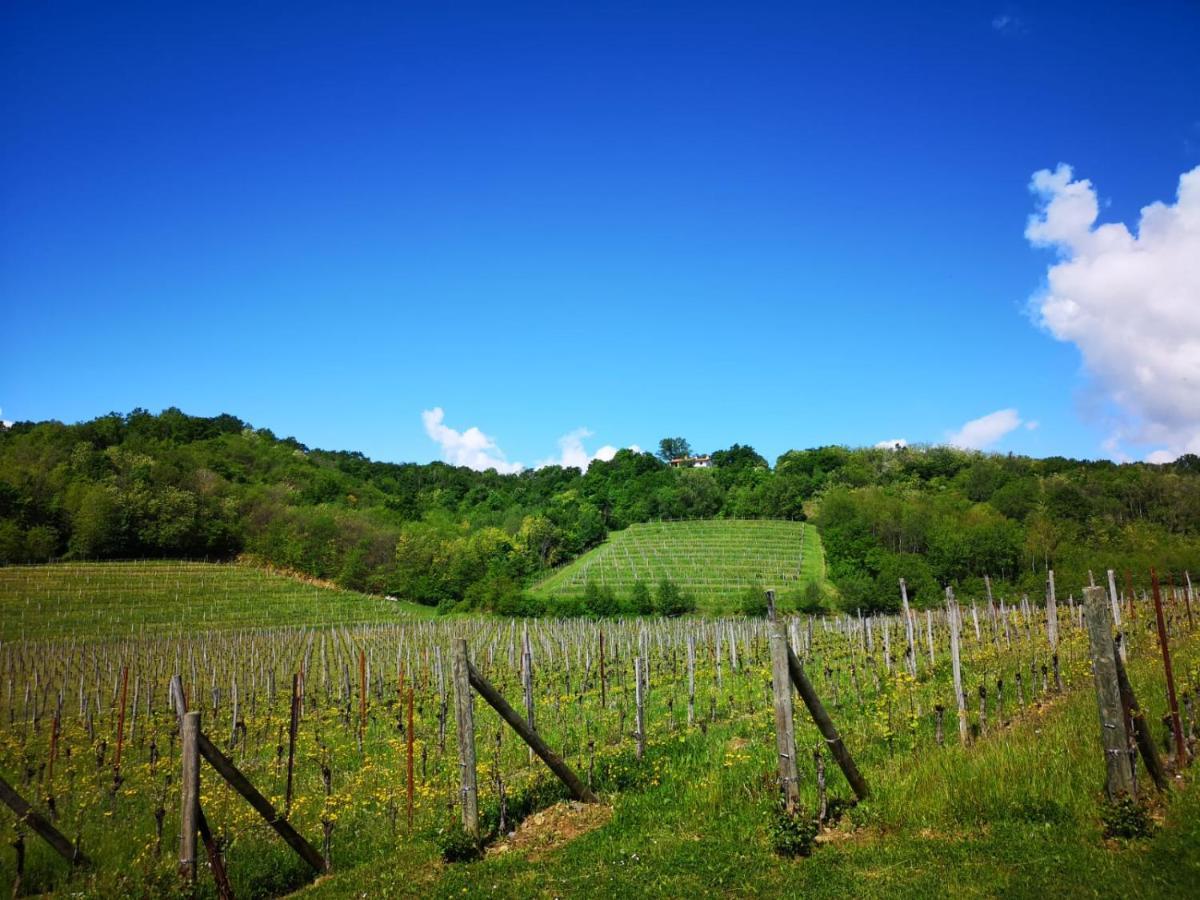 Il Roncal Wine Resort - For Wine Lovers Чивідале-дель-Фріулі Екстер'єр фото