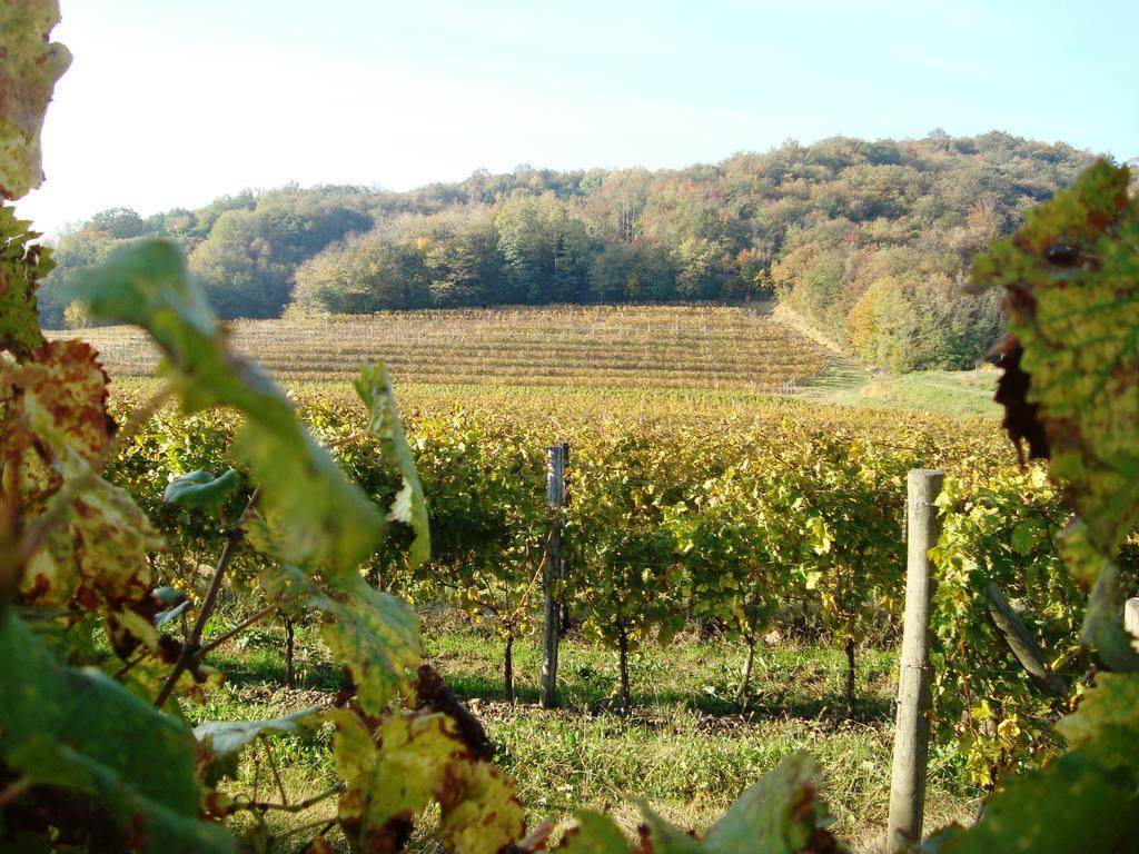 Il Roncal Wine Resort - For Wine Lovers Чивідале-дель-Фріулі Екстер'єр фото