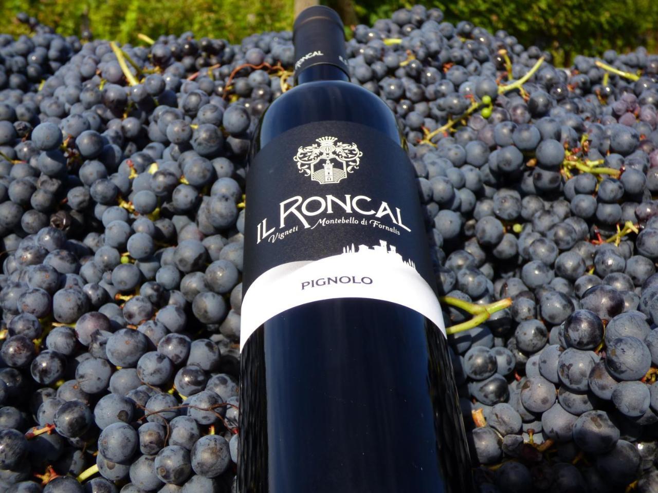 Il Roncal Wine Resort - For Wine Lovers Чивідале-дель-Фріулі Екстер'єр фото
