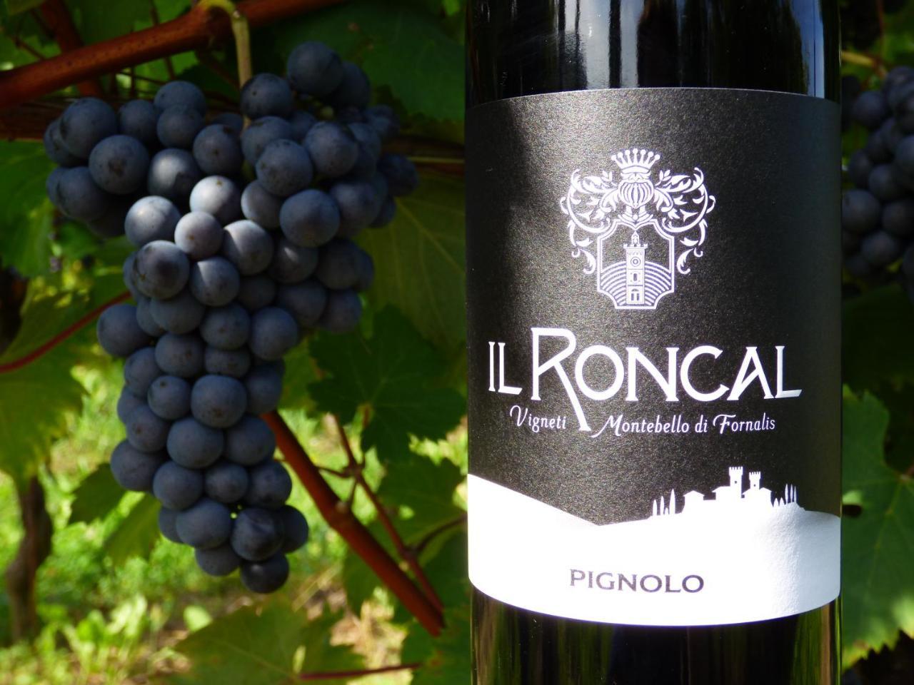 Il Roncal Wine Resort - For Wine Lovers Чивідале-дель-Фріулі Екстер'єр фото